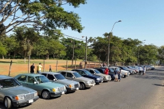 13615356_649154615239174_5228814411699839727_n