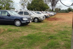 13615469_649154461905856_8176014888278854648_n