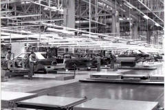 FB_IMG_1442976415639