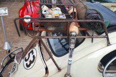 photo_2018-10-13_18-14-06